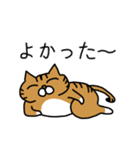 ニャラおじ 幸運のカギしっぽねこ 2（個別スタンプ：13）