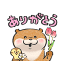 可愛い嘘のカワウソ19（個別スタンプ：6）