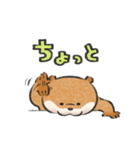 可愛い嘘のカワウソ19（個別スタンプ：17）