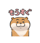 可愛い嘘のカワウソ19（個別スタンプ：19）