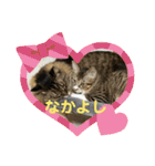 mofusand × うゆたち（個別スタンプ：10）