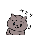 灰茶ねこの日常_修正版（個別スタンプ：25）