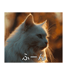 猫のきもち【毎日使える】（個別スタンプ：2）