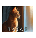 猫のきもち【毎日使える】（個別スタンプ：3）