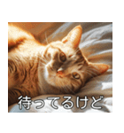 猫のきもち【毎日使える】（個別スタンプ：20）