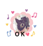 ♡愛犬チワワの気持ち♡（個別スタンプ：14）