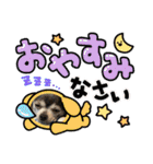 ♡愛犬チワワの気持ち♡（個別スタンプ：24）