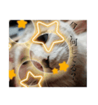 もふらこみるく（個別スタンプ：9）