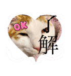 もふらこみるく（個別スタンプ：17）
