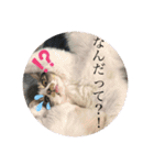 もふらこみるく（個別スタンプ：22）