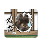 いろんなうさぎのLINEスタンプ！かわいさUP（個別スタンプ：16）