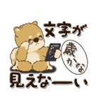 柴犬・茶色い犬『親から子へ』（個別スタンプ：16）