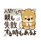 柴犬・茶色い犬『親から子へ』（個別スタンプ：40）