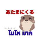 タイ語を使うカワウソ Otter (感情)（個別スタンプ：16）