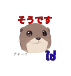 タイ語を使うカワウソ Otter (感情)（個別スタンプ：27）