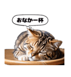 猫ミーム 寝ながらしゃべる猫 帽子（個別スタンプ：21）