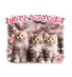 卒入学・入園・就職【春のお祝い】猫と桜♡（個別スタンプ：4）