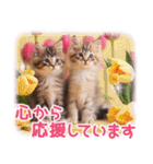 卒入学・入園・就職【春のお祝い】猫と桜♡（個別スタンプ：12）