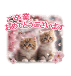 卒入学・入園・就職【春のお祝い】猫と桜♡（個別スタンプ：14）