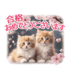 卒入学・入園・就職【春のお祝い】猫と桜♡（個別スタンプ：20）