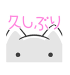 ピンク推しねこ(挨拶)（個別スタンプ：13）