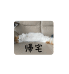 きぬ #5（個別スタンプ：7）