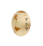 きぬ #5（個別スタンプ：13）