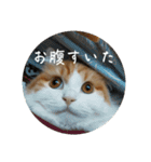 きぬ #5（個別スタンプ：15）