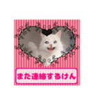 猫の博多弁（個別スタンプ：4）