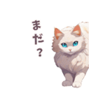 ねこじっと にっ（個別スタンプ：13）