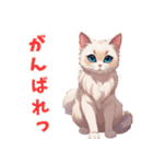 ねこじっと にっ（個別スタンプ：19）