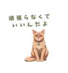 ねこじっと にっ（個別スタンプ：27）