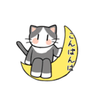 猫さんの敬語スタンプ（個別スタンプ：6）