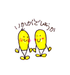 とうもろこし♪日常会話スタンプ（個別スタンプ：12）