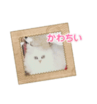 ガイちゃん ありがとワン（個別スタンプ：37）