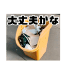 ゴミ箱日常版（個別スタンプ：9）