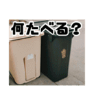 ゴミ箱日常版（個別スタンプ：20）