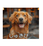 犬のきもち【毎日使える】（個別スタンプ：2）