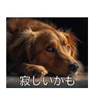 犬のきもち【毎日使える】（個別スタンプ：7）