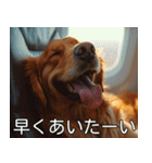 犬のきもち【毎日使える】（個別スタンプ：10）