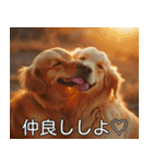 犬のきもち【毎日使える】（個別スタンプ：12）