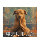 犬のきもち【毎日使える】（個別スタンプ：14）