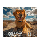 犬のきもち【毎日使える】（個別スタンプ：17）