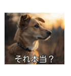 犬のきもち【毎日使える】（個別スタンプ：20）