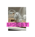 はむズの日常（個別スタンプ：39）