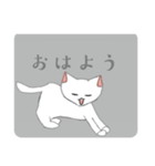 しろねこ 【日常会話】（個別スタンプ：1）