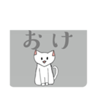 しろねこ 【日常会話】（個別スタンプ：7）