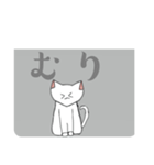 しろねこ 【日常会話】（個別スタンプ：8）