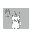 しろねこ 【日常会話】（個別スタンプ：13）