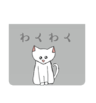 しろねこ 【日常会話】（個別スタンプ：14）